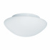 Tokyo 2Lt Bathroom Flush - White Opal Glass, IP44