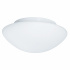 Tokyo 2Lt Bathroom Flush - White Opal Glass, IP44