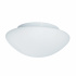 Tokyo 2Lt Bathroom Flush - White Opal Glass, IP44