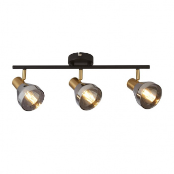 Svietidlá Searchlight - Westminster 3Lt Spot-Black, Satin Brass Metal & Smoked Glass | KÓD: 23801-3SM
