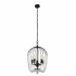 Shower 5Lt Pendant - Black Metal & Clear Crystal