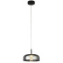 Frisbee LED Floor Lamp - Black Metal & Smoked Glass