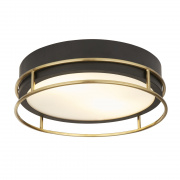 Phoenix 2Lt Flush - Black and Brass IP44