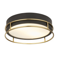 Phoenix 2Lt Flush - Black, Brass Metal & Frosted Glass - 62012-2PB 62012-2PB