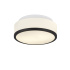 Cheese 2Lt Flush - Black, White Glass Shade, IP44