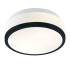 Cheese 2Lt Flush - Black, White Glass Shade, IP44