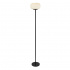 LUMINA 1LT FLOOR LAMP WITH FROSTED RIBBED GLASS